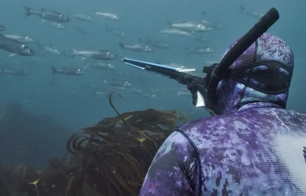 sustainable UK spearfishing