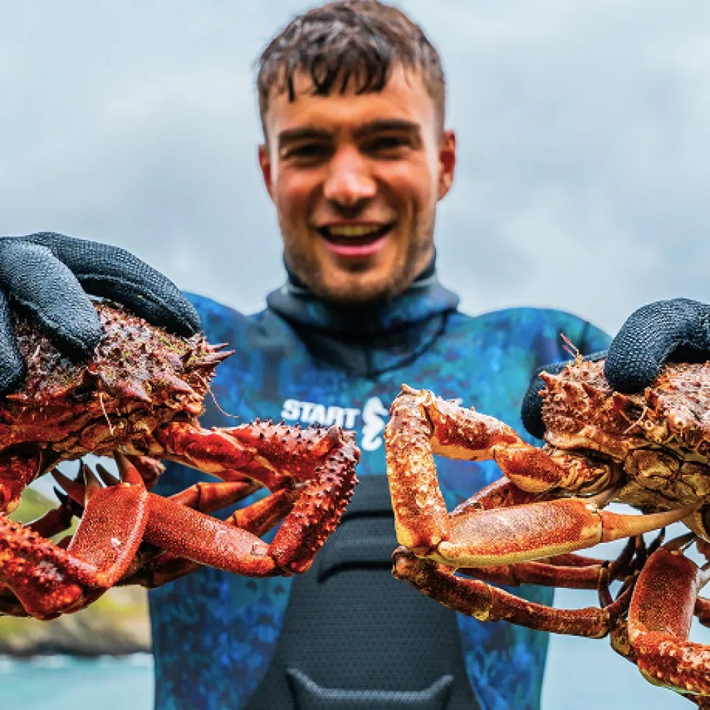 lobster diving