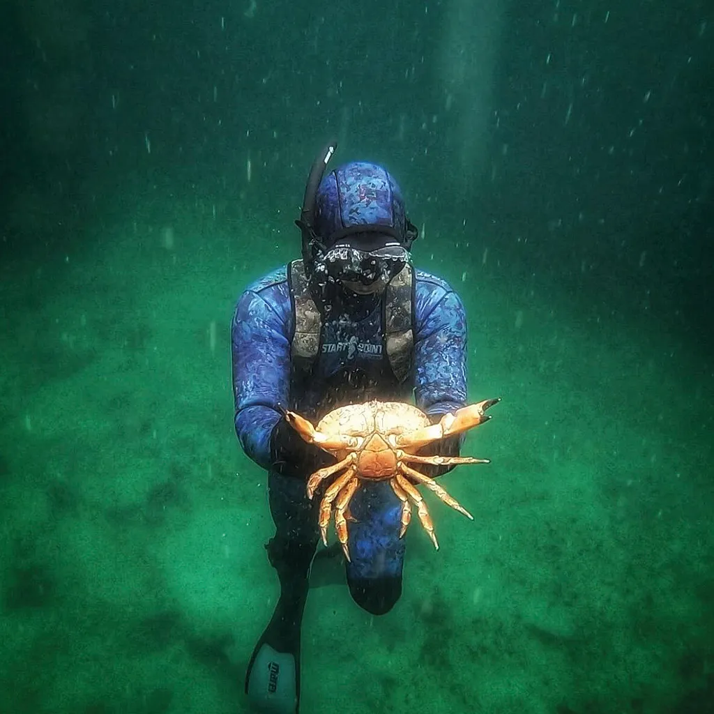 spearfishing Devon